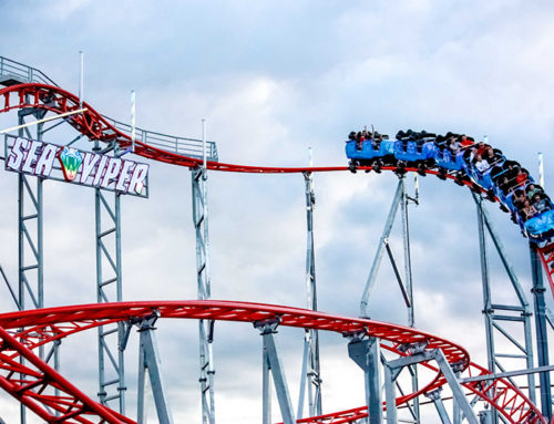 Opened June 2018 — Sea Viper